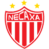内卡萨U20队徽