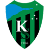 科贾埃利体育队徽