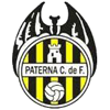 帕特纳队徽